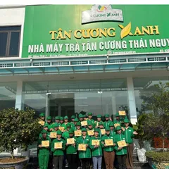 Trà Đinh Ngọc Tiến Vua - Hộp Gỗ Thông 200g - 300g - Trà Sạch Tân Cương Xanh