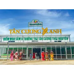 Trà Shan Tuyết Cổ Thụ Hà Giang 1 Tôm 2 Lá - Trà Sạch Tân Cương Xanh