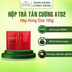 Hộp Trà Thái Nguyên QT10, QT15,AT01, AT02 100gram Trà Sạch Tân Cương Xanh