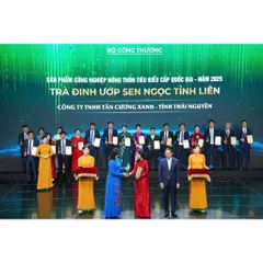 Hộp Qùa Trà Đinh Ướp Sen Ngọc Tỉnh Liên Hộp Hứng Dừa, Long Phương, Đại Việt, Tứ Long Trà Sạch Tân Cương Xanh