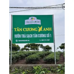 Trà Tân Cương Thái Nguyên Đặc Biệt 100g, 200g , 500g - Trà Sạch Tân Cương Xanh