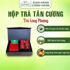 Hộp Trà Tân Cương Hứng Dừa / Long Phượng / Đại Việt / Tứ Long - Quà Tặng Cao Cấp Trà Sạch Tân Cương Xanh