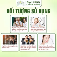 Hộp Trà Tân Cương Hứng Dừa / Long Phượng / Đại Việt / Tứ Long - Quà Tặng Cao Cấp Trà Sạch Tân Cương Xanh