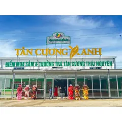 Chè Tân Cương Thượng Hạng 100G, 200G, 500G Trà Sạch Tân Cương Xanh