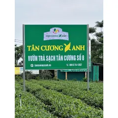 Trà Tân Cương Thượng Hạng 100g, 200g, 250g, 500g - Trà Sạch Tân Cương Xanh