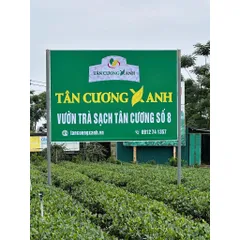 Trà Tấm Tân Cương Thái Nguyên Tấm Xanh , Tấm Sen , Tấm Nhài Trà Sạch Tân Cương Xanh