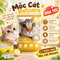 CÁT VỆ SINH CHO MÈO TFOR 3KG5/TÚI BENTONITE-CHẤT LƯỢNG CAO-ÍT BỤI-KHỬ MÙI TỐT-VÓN CHẮC CHẮN