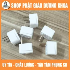 LOẠI XỊN, Ổ cắm điện, phích cắm điện 2 chấu thành 3 chấu