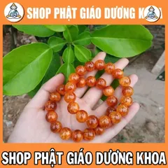Vòng tay gỗ huyết long cao cấp phong thủy - vòng trang sức đem lại may mắn cho người đeo DƯƠNG KHOA SHOP