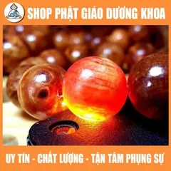Vòng tay gỗ huyết long cao cấp phong thủy - vòng trang sức đem lại may mắn cho người đeo DƯƠNG KHOA SHOP