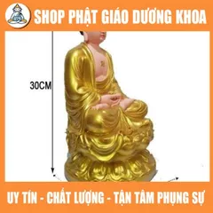Tôn Tượng A Di Đà Ngồi cao 30cm - Tượng Phật Thờ Cúng A Di Đà Composite  DƯƠNG KHOA SHOP