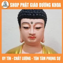 Tôn Tượng A Di Đà Ngồi cao 30cm - Tượng Phật Thờ Cúng A Di Đà Composite  DƯƠNG KHOA SHOP