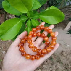 Vòng tay gỗ huyết long cao cấp phong thủy - vòng trang sức đem lại may mắn cho người đeo 0398_142-241