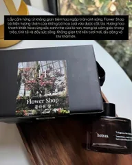 Nước hoa ô tô Hetras Black khử mùi sang trọng set 2 chai 77ml hương thơm cao cấp lưu hương lâu
