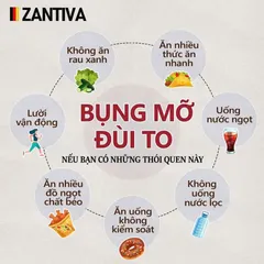 (Chính gốc) Viên Sủi Giảm Cân Zantiva Everfit Cao Cấp Từ Đức - Hỗ Trợ Giảm Cân Tự Nhiên, Cung Cấp Dinh Dưỡng, 20 Viên 891471
