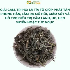 Tía Tô Khô 1KG Sạch, Thơm | Lá Tía Tô Khô Hàng Mới | Trà Tía Tô Thảo Mộc Búp Xanh