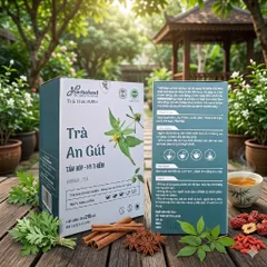Trà An Gút Herbafood (An Thái Hưng) Giảm Axit Uric, sưng đau khớp do Gout - Hộp 60 túi lọc 4,5g