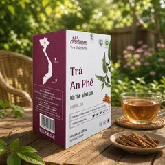 Trà An Phế Herbafood (An Thái Hưng) - Hỗ trợ bổ phổi, giảm ho, tăng đề kháng - Hộp 60 túi lọc 4,5g