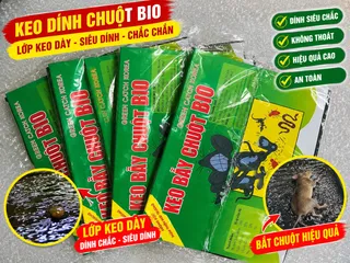 Bẫy Keo dính CHUỘT - Siêu Dính - Miếng bẫy chuột- keo tốt Lớp keo dày