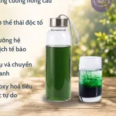 [ Hàng Chính Hãng ] Nước Uống Cô Đặc Green Quantum/ Mát gan/ Bổ sung diệp lục