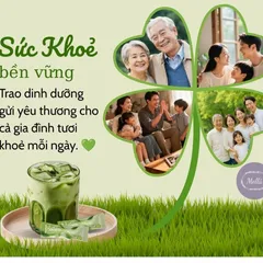 [ Hàng Chính Hãng ] Ngũ Cốc Dinh Dưỡng Vhealth trà xanh thơm ngon, thay thế bữa ăn phụ