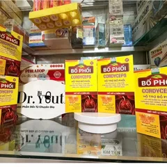 Viên uống Bổ phổi Cordyceps ngăn viêm phế quản mạn,viêm đường hô hấp, giảm ho đàm, ho khan, khàn tiếng 30v
