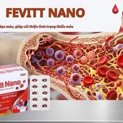 Viên Sắt Fevitt Nano Bổ Sung Sắt Dễ Hấp Thu,Chống Thiếu Máu,Xanh Xao,Cải Thiện Chức Năng Tuần Hoàn,Kinh Nguyệt Phụ Nữ 893606