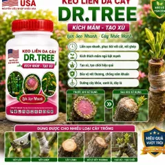 Keo Liền Da Cây 100g / 500g – Kích Mầm, Tạo Xù, Liền Sẹo Nhanh, Chống Thối Vết Cắt Cho Bonsai Mai Vàng