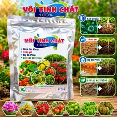 Vôi Tinh Chất 100% 1Kg - Hạ Phèn, Tăng pH Đất, Diệt Khuẩn Nấm Bệnh, Cải Tạo Đất Trồng, Bổ Sung Canxi Cho Cây Trồng