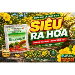 Phân Bón Lá Siêu Ra Bông Đậu Trái Grow 5-5-5 A3 Hộp 10 Gói Cho Mai Vàng, Ớt, Sầu Riêng, Cây Ăn Trái