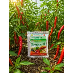 Phân Bón Lá Siêu Ra Bông Đậu Trái Grow 5-5-5 A3 Hộp 10 Gói Cho Mai Vàng, Ớt, Sầu Riêng, Cây Ăn Trái