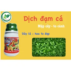Phân Bón Vi Lượng Đạm Cá Bio Fish Giúp Cây Phát Triển Đẹp, Rễ Khoẻ, Lọ 100gram