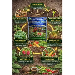 Men Vi Sinh Trichoderma Humic 1Kg | Ủ Phân Hữu Cơ, Cải Tạo Đất, Kích Rễ, Trị Nấm, Tuyến Trùng