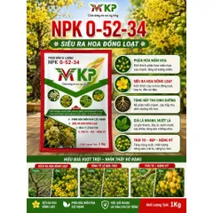 MKP 0-52-34 +Te siêu kích hoa siêu tạo mầm hoa chặn đọt ra hoa nghịch vụ