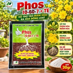 Phân Bón Phos 10-60-7 + TE Lân Cao Hỗ Trợ Phân Hóa Mầm Hoa, Ra Hoa Đồng Loạt – Combo 10 Gói