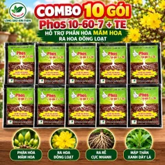 Phân Bón Phos 10-60-7 + TE Lân Cao Hỗ Trợ Phân Hóa Mầm Hoa, Ra Hoa Đồng Loạt – Combo 10 Gói