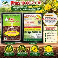 Phân Bón Phos 10-60-7 + TE Lân Cao Hỗ Trợ Phân Hóa Mầm Hoa, Ra Hoa Đồng Loạt – Combo 10 Gói