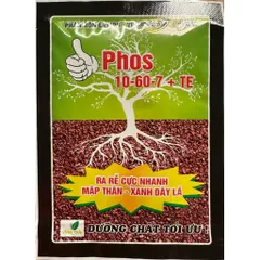 Phân Bón Phos 10-60-7 + TE Lân Cao Hỗ Trợ Phân Hóa Mầm Hoa, Ra Hoa Đồng Loạt – Combo 10 Gói