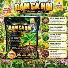 Đạm Cá Hồi Nhật Bản 1KG – Phân Bón Hữu Cơ Kích Rễ, Bung Chồi, Xanh Lá, Chăm Mai Vàng Bonsai, Hoa Kiểng, Cây Ăn Trái