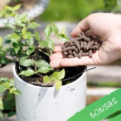 Phân Bón Trùn Quế Viên Nén Giúp Tăng Cường Dinh Dưỡng Cho Cây Trồng, Dung Tích 1Kg