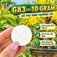 GA3 Viên 10g – Đánh Thức Mầm Ngủ, Bật Chồi Cực Mạnh, Giảm Chai Đầu Cành Mai Bonsai, Kích Đọt Non Đồng Loạt