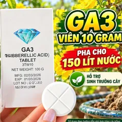 GA3 Viên 10g – Đánh Thức Mầm Ngủ, Bật Chồi Cực Mạnh, Giảm Chai Đầu Cành Mai Bonsai, Kích Đọt Non Đồng Loạt