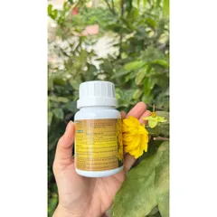 Siêu tạo nụ mai vàng hàng loạt 10-60-10 + Te HK giúp kích hoa chuẩn nụ kim giúp hoa nở đồng đều