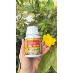 Siêu tạo nụ mai vàng hàng loạt 10-60-10 + Te HK giúp kích hoa chuẩn nụ kim giúp hoa nở đồng đều