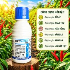 Tilt Super Đặc Trị Phấn Trắng Đốm Lá Thán Thư Cháy Lá Nấm Bệnh Cây Trồng 🌱