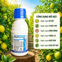 Tilt Super Đặc Trị Phấn Trắng Đốm Lá Thán Thư Cháy Lá Nấm Bệnh Cây Trồng 🌱