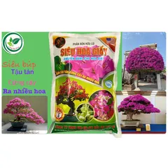 Siêu Hoa Giấy 700g | Phân Bón Hoa Giấy | Tược Mạnh, Cứng Cây, Ra Nhiều Hoa, Hoa To Màu Đẹp