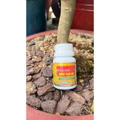 Siêu tạo nụ mai vàng hàng loạt 10-60-10 + Te HK giúp kích hoa chuẩn nụ kim giúp hoa nở đồng đều