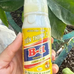Phân Bón Vitamin B1 Thái Cung Cấp Dinh Dưỡng Cho Cây Trồng, Dung Tích 100ml