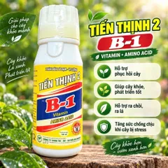 Phân Bón Vitamin B1 Thái Cung Cấp Dinh Dưỡng Cho Cây Trồng, Dung Tích 100ml
